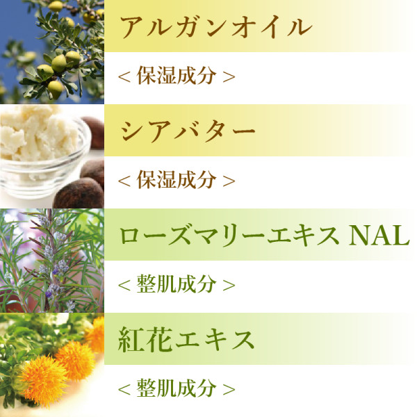 主な成分