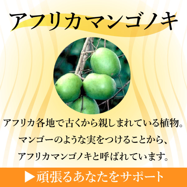 アフリカマンゴノキ
