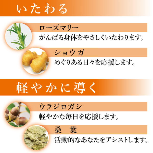 いたわる、軽やかに導く