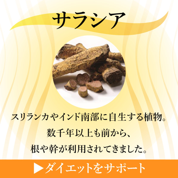 サラシア