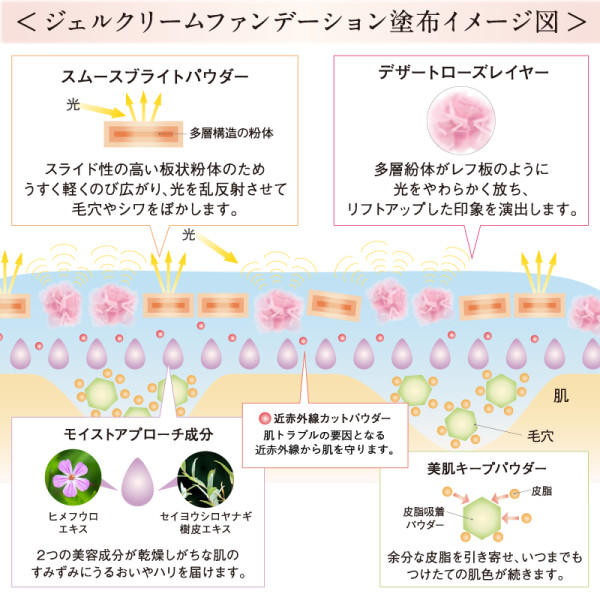 塗布イメージ図